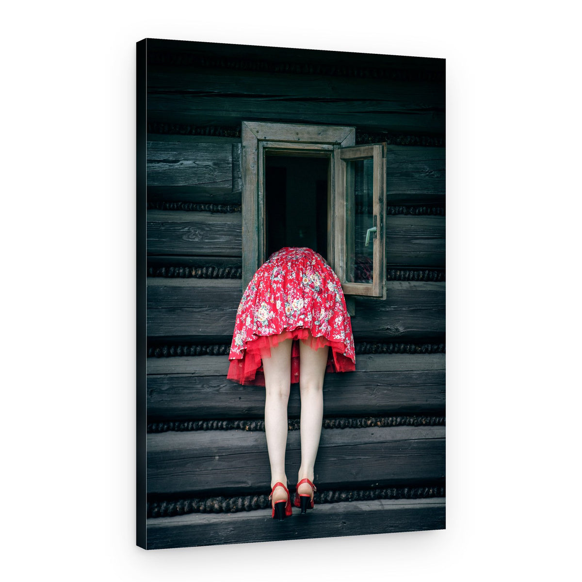 Red Dress Curiosity – Canvas Print