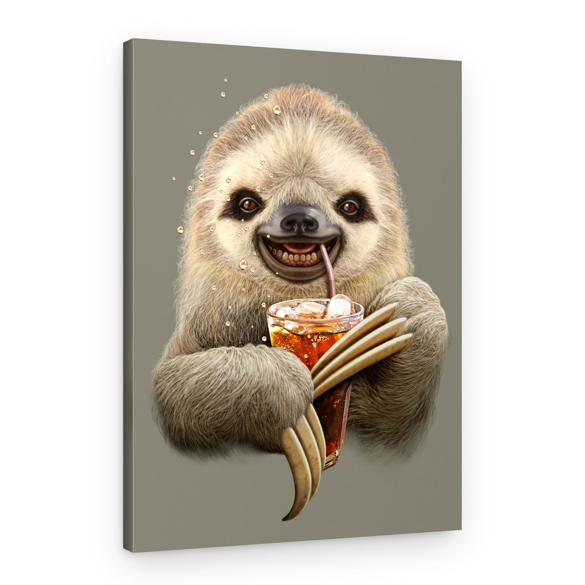 Smiling Sloth Soda – Canvas Print