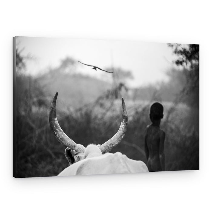 Horns Boy and Bird – Canvas Print