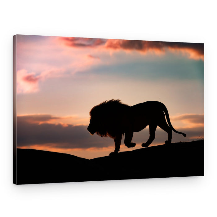 Majestic Lion Sunset – Canvas Print