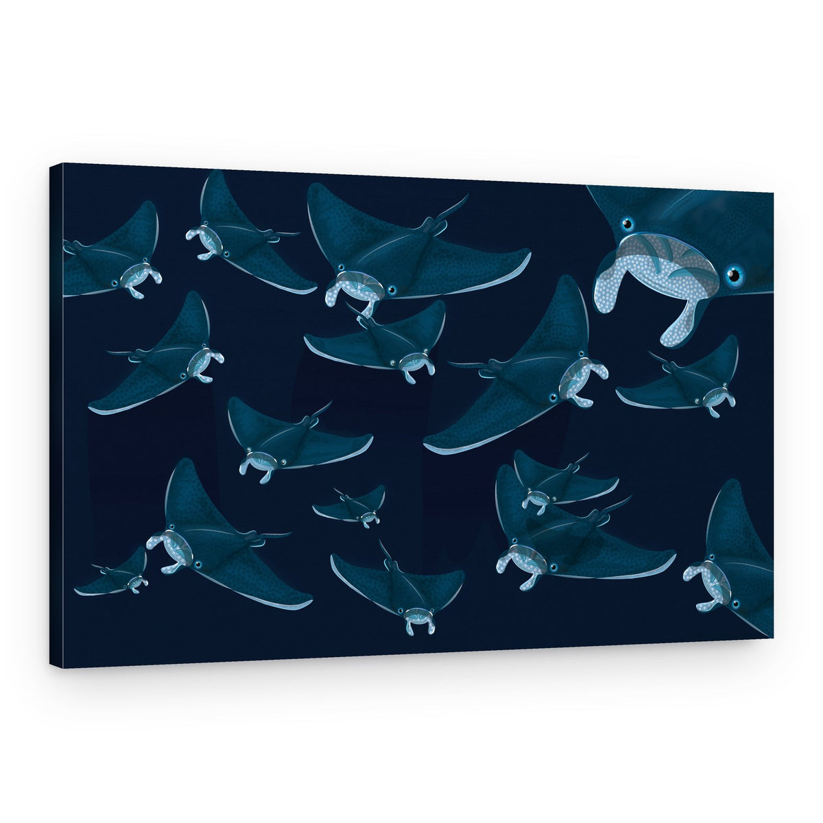 Deep Ocean Manta Rays – Canvas Print