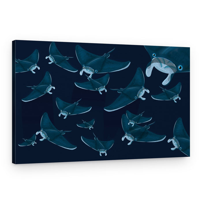 Deep Ocean Manta Rays – Canvas Print