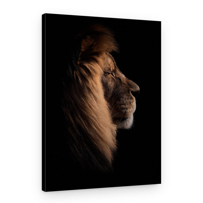 Serene Lion Profile – Canvas Print