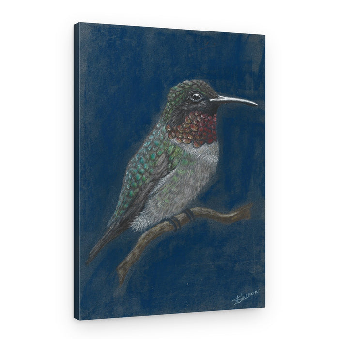 Vibrant Hummingbird Perched – Canvas Print