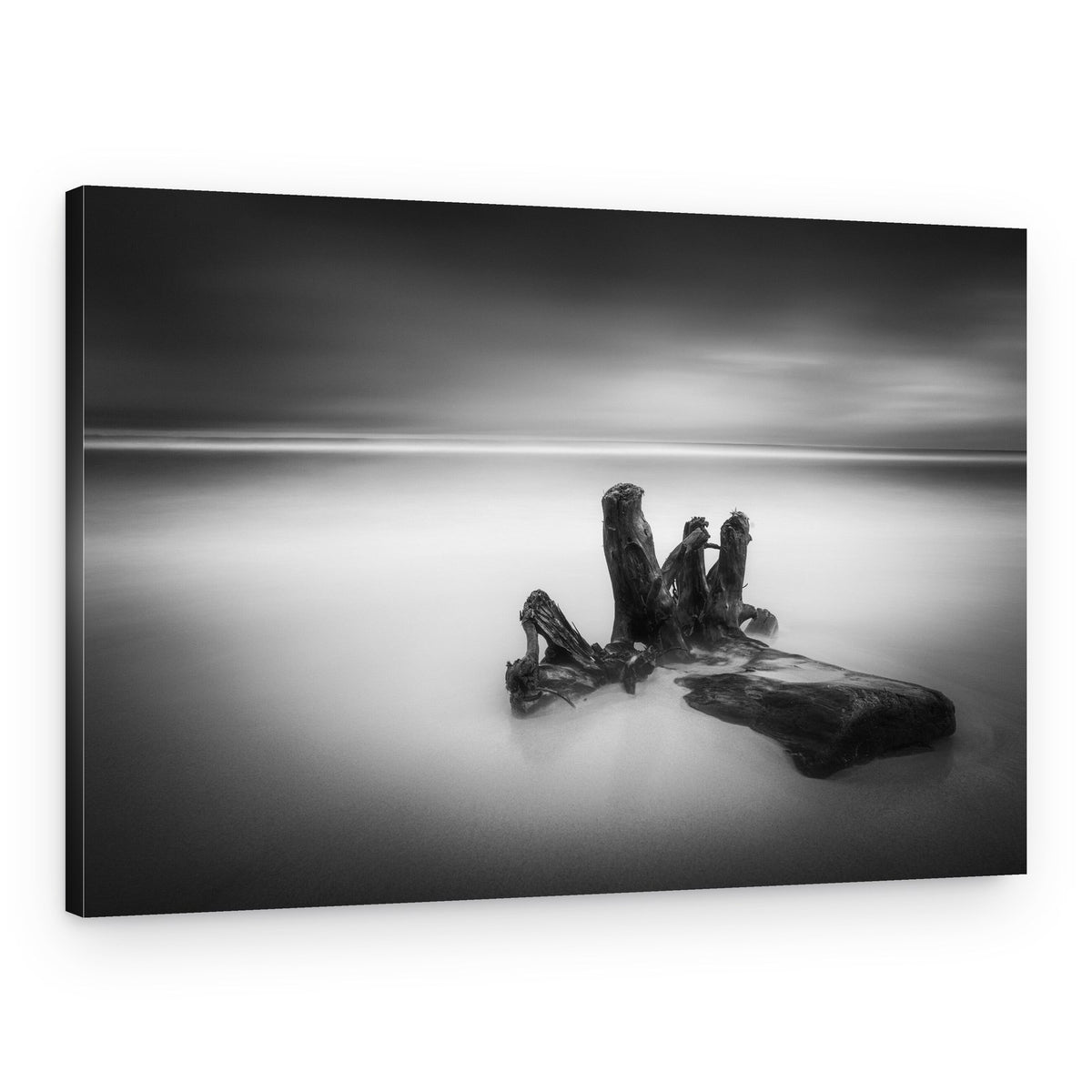 Misty Ocean Driftwood – Canvas Print