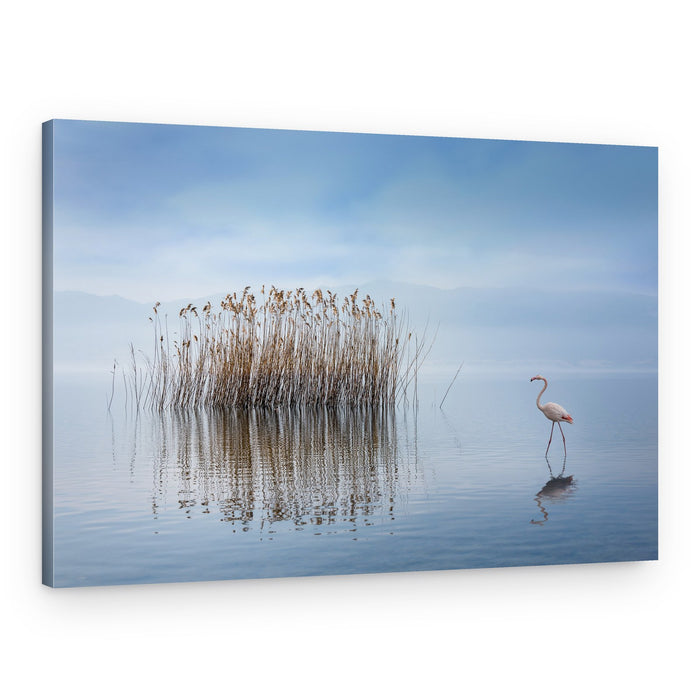 Misty Lake Flamingo – Canvas Print