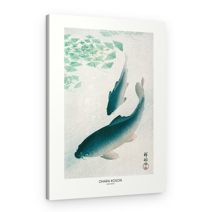 Carp Or Koi – Canvas Print