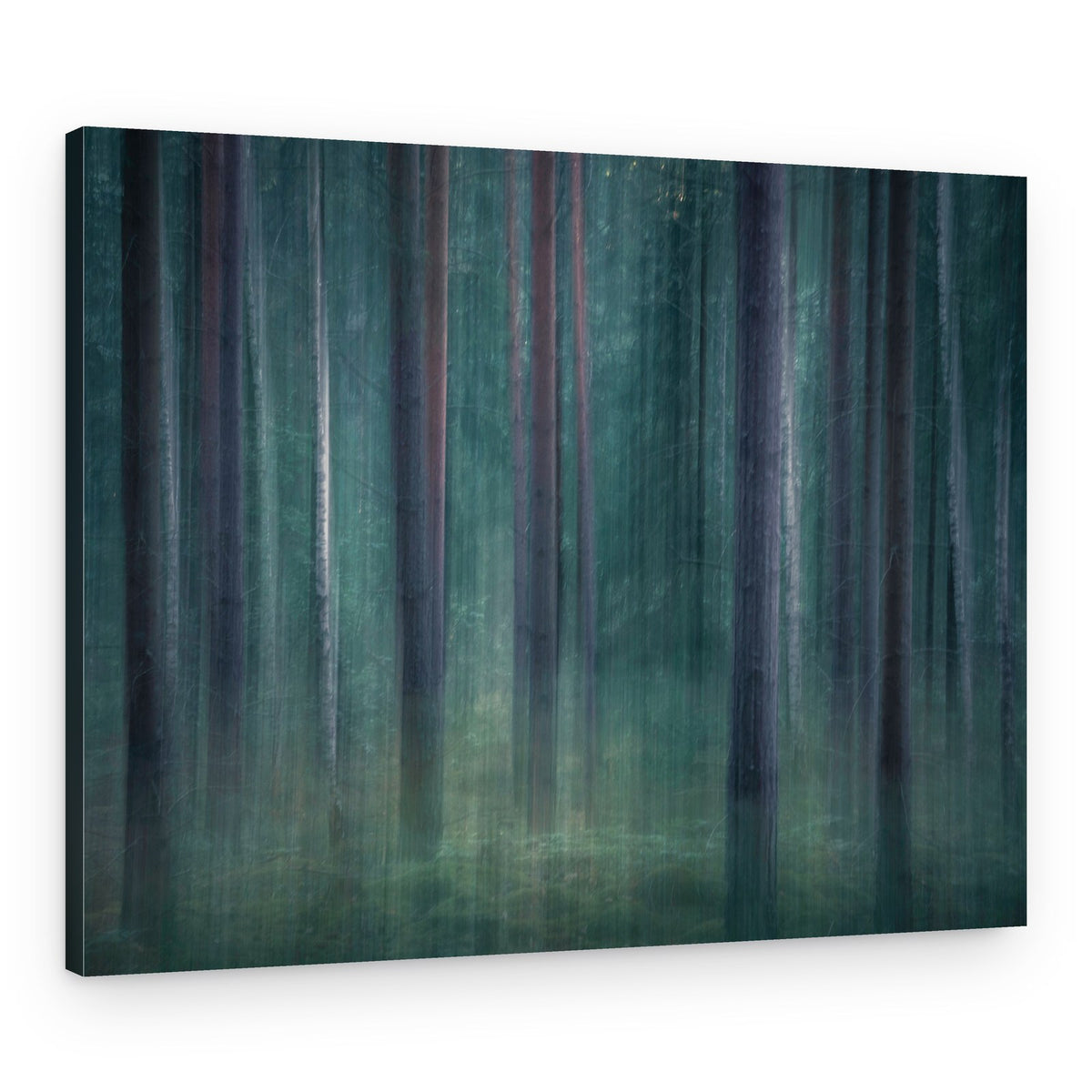 Mystic Forest Blur – Canvas Print