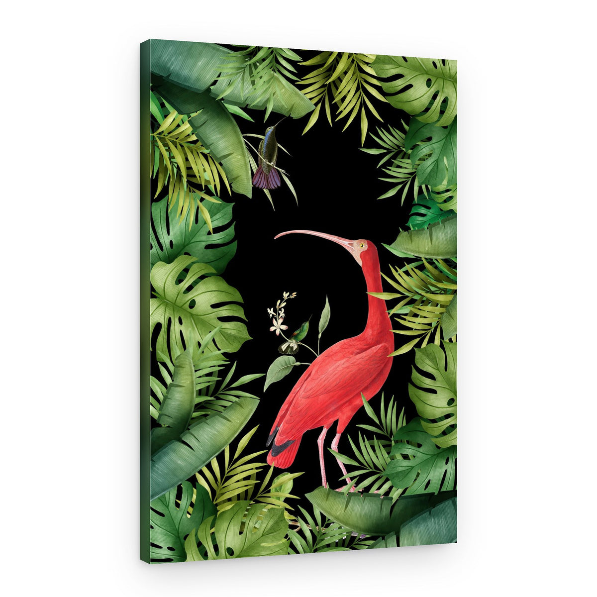 Scarlet Ibis Tropical Birds – Canvas Print