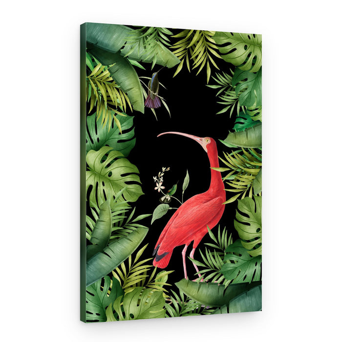 Scarlet Ibis Tropical Birds – Canvas Print