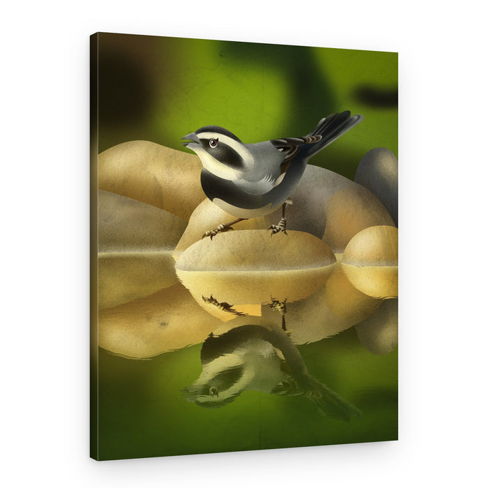 Serene Sparrow Reflection – Canvas Print