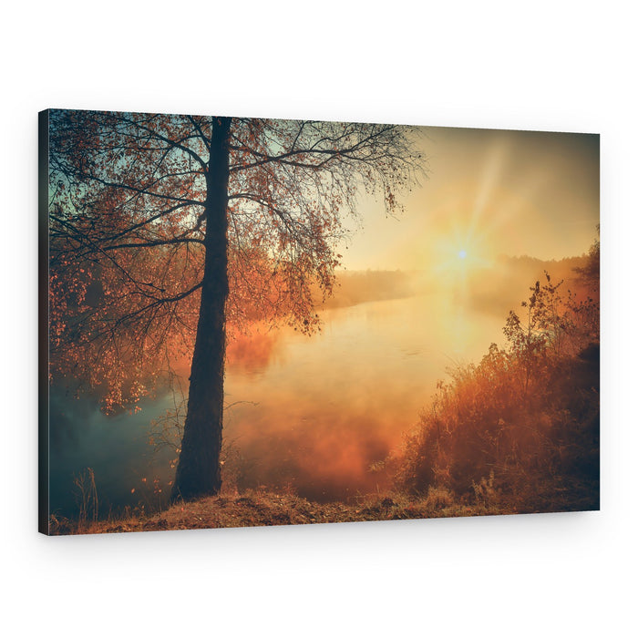 Golden Morning Mist – Canvas Print