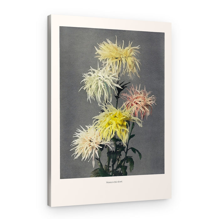 Nami–chi–dori – Canvas Print