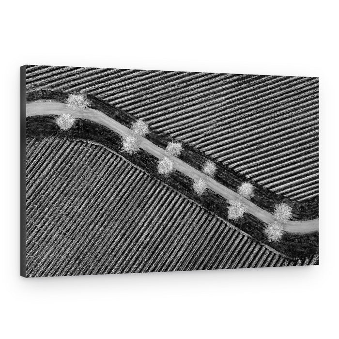Monochrome Field Road – Canvas Print