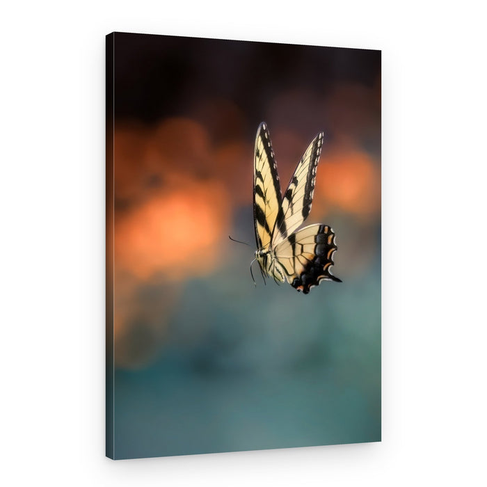 Elegant Butterfly Flight – Canvas Print