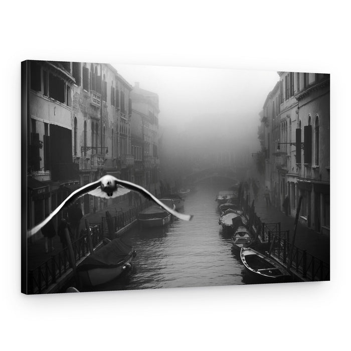 Venetian Foggy Flight – Canvas Print