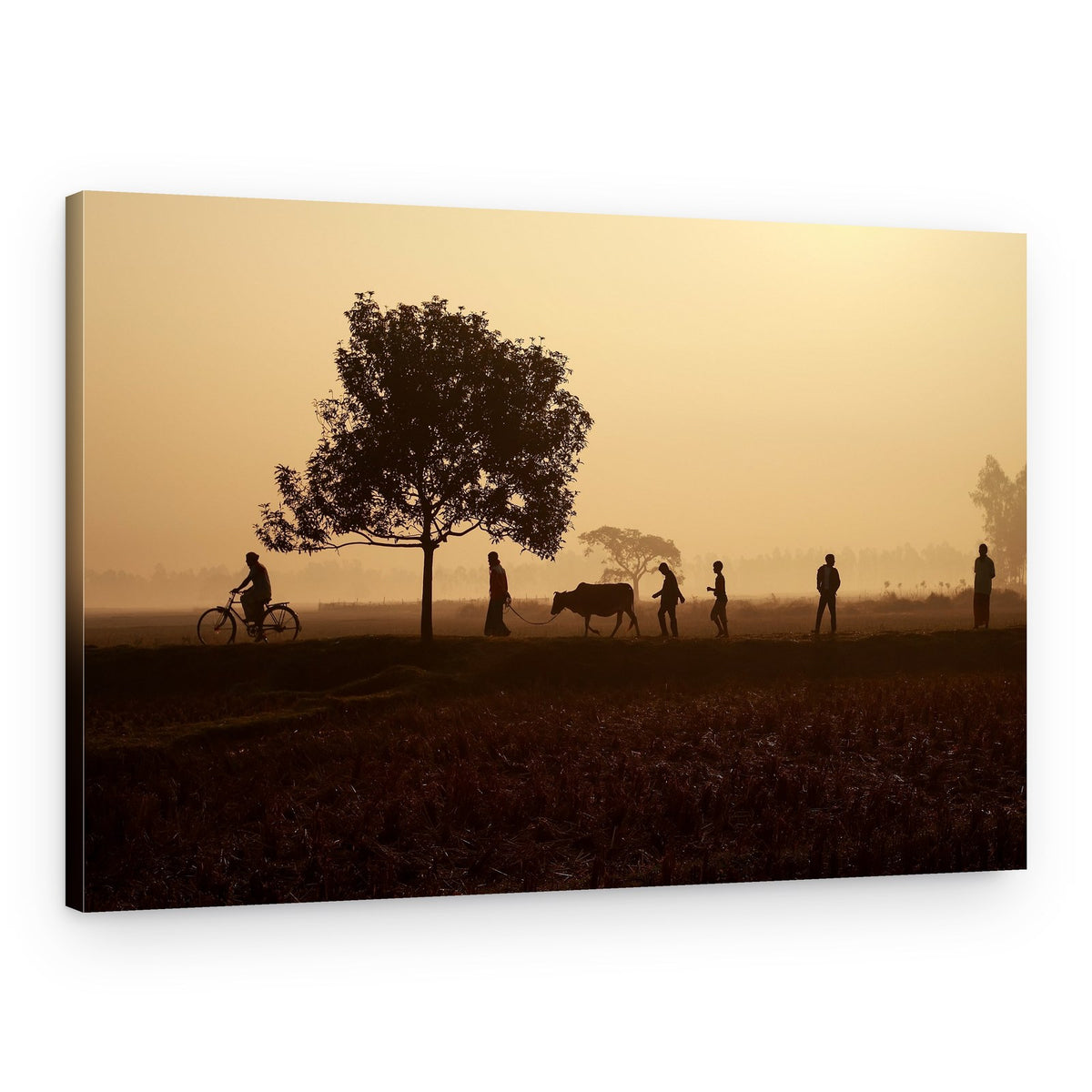 Misty Morning Country Path – Canvas Print