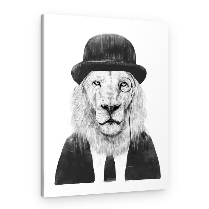 Dapper Lion Gentleman – Canvas Print