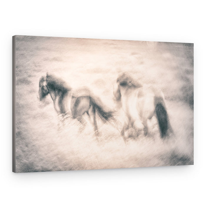 Galloping Horses Dream – Canvas Print