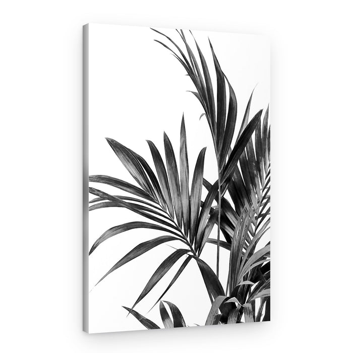 Monochrome Palm Grace – Canvas Print