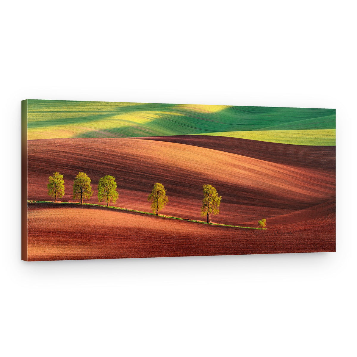 Wavy Moravian Fields – Canvas Print