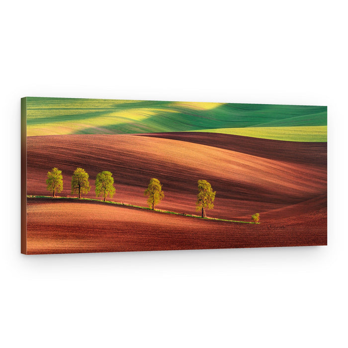 Wavy Moravian Fields – Canvas Print