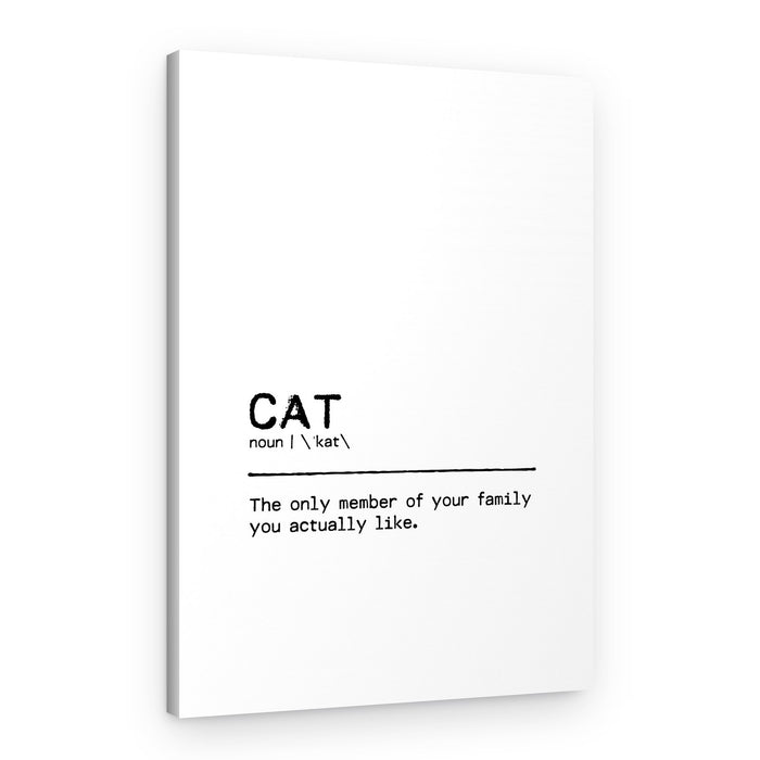 Funny Cat Definition – Canvas Print