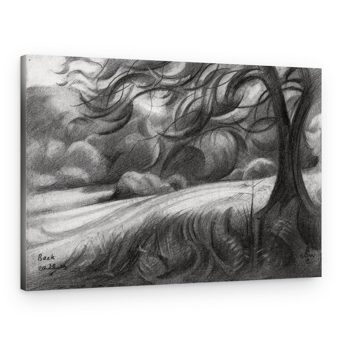 Winding Tree Path – Canvas Print