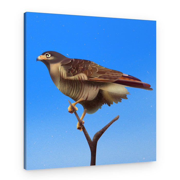 Majestic Hawk Under Blue Sky – Canvas Print