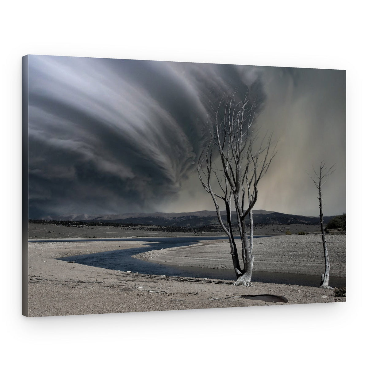 Swirling Storm Barren Trees – Canvas Print