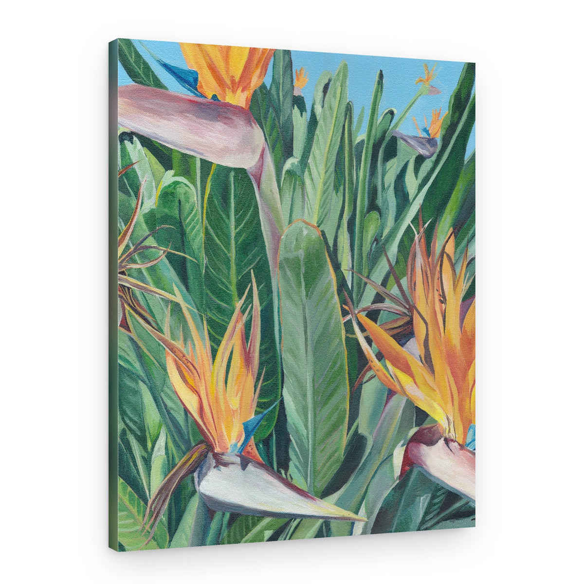 Birds of Paradise Blooms – Canvas Print