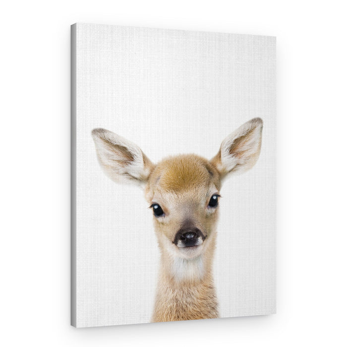 Adorable Fawn Portrait – Canvas Print