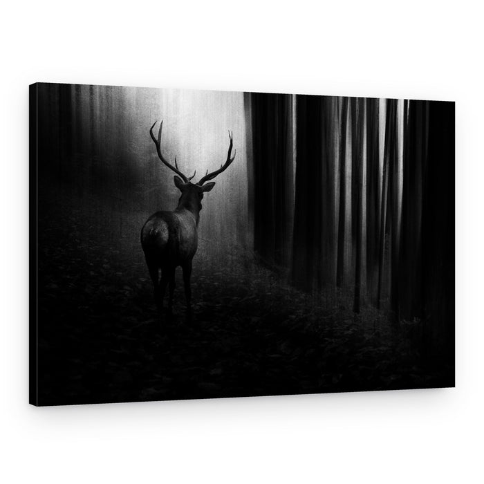 Mysterious Forest Stag – Canvas Print