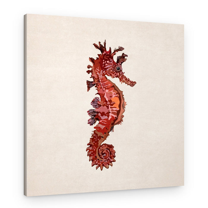 Crimson Seahorse – Canvas Print