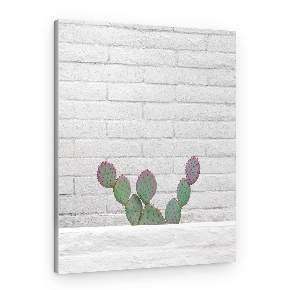 Stay Sharp – Canvas Print