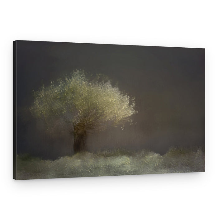 Willow – Canvas Print