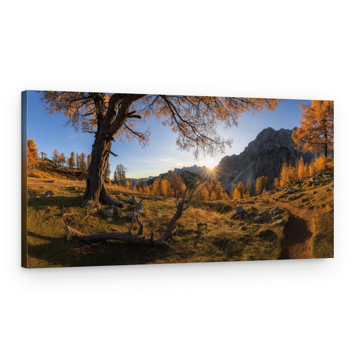 Golden Autumn Mountain Path – Canvas Print
