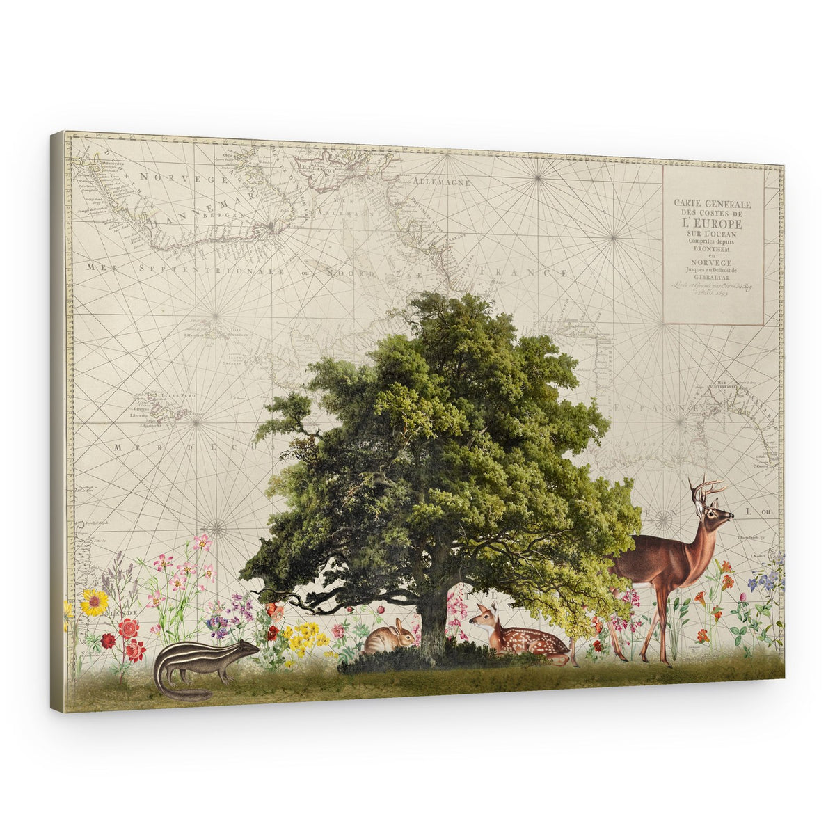 Woodland Animals on Map – Canvas Print