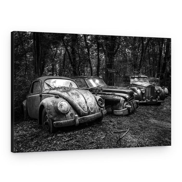 Rusty Forest Classics – Canvas Print