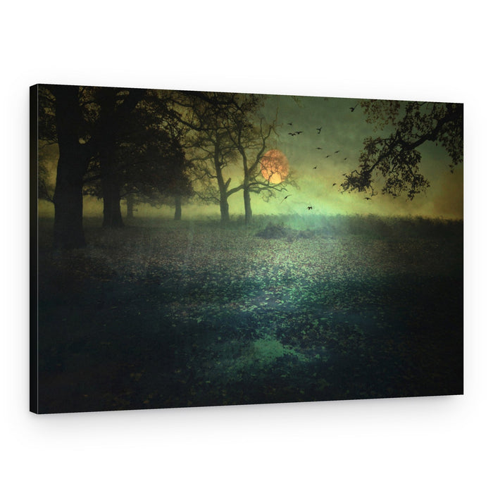 Misty Moonlit Forest – Canvas Print