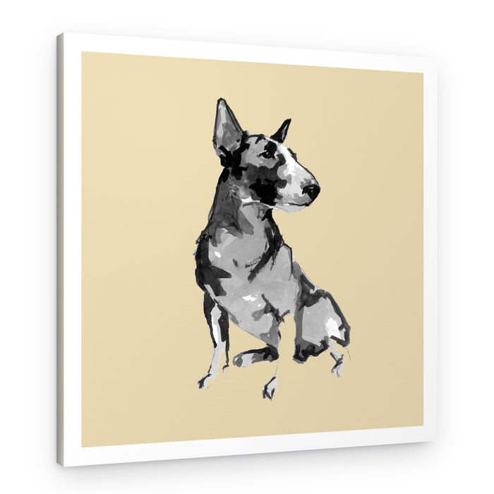 Sitting Bull Terrier – Canvas Print