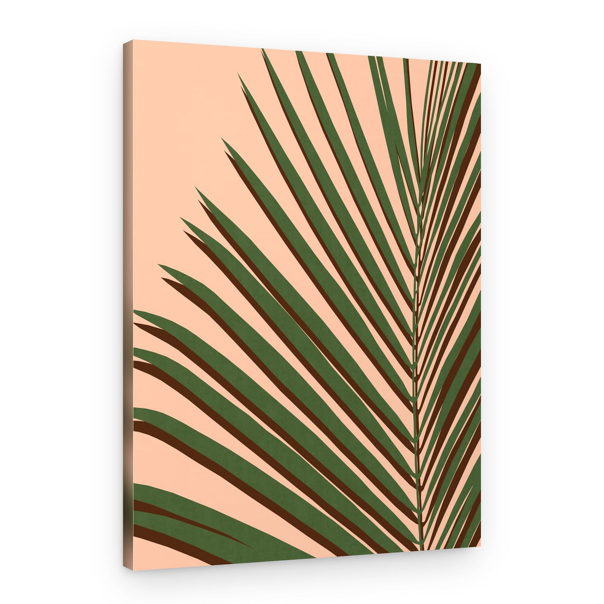 Tropical Palm Shadow – Canvas Print