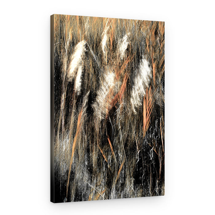 Ethereal Wild Grass – Canvas Print