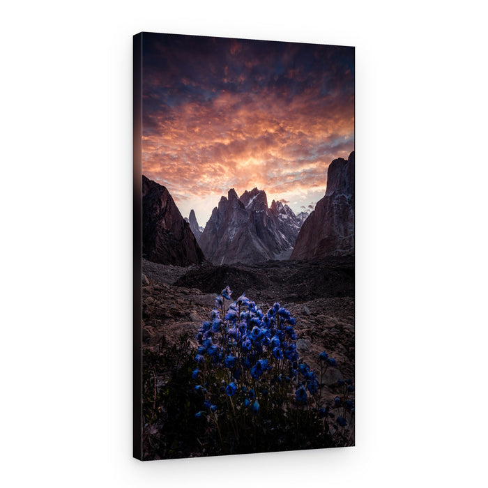 Blue Flowers Mountain Sunset – Canvas Print