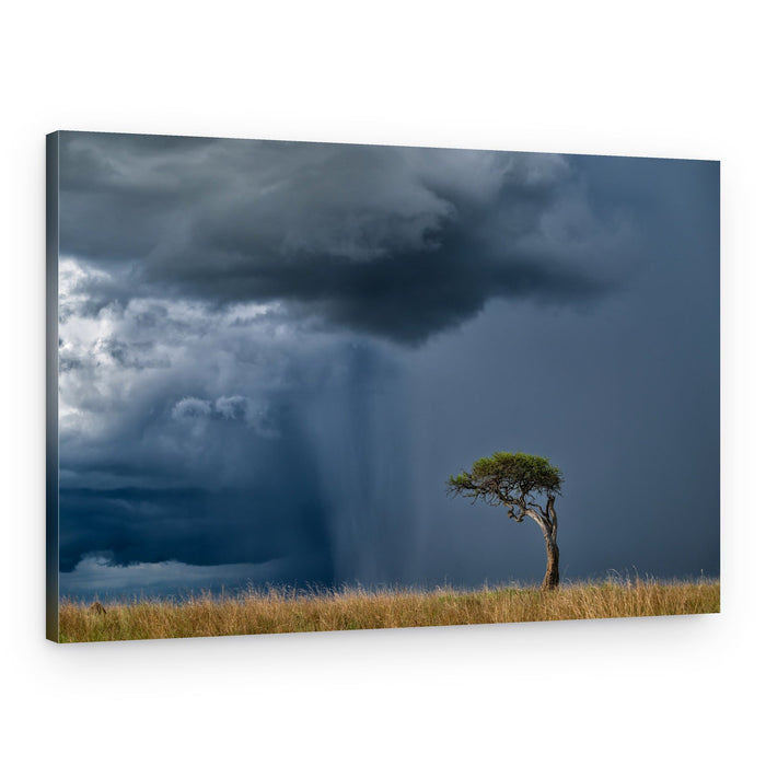 Lonely Tree Stormy Sky – Canvas Print