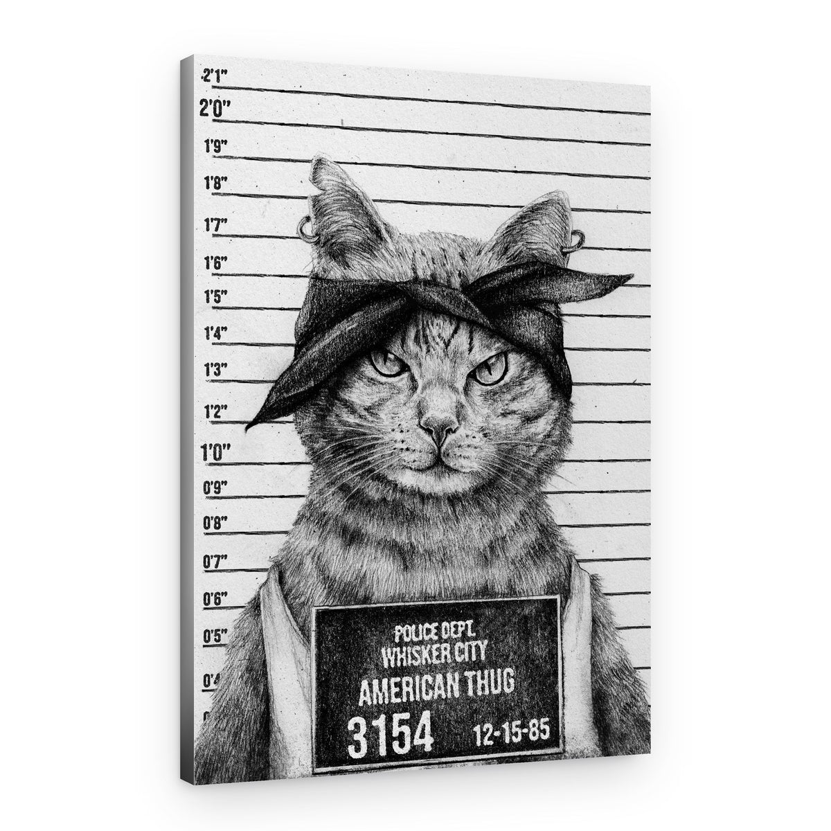 Cat In A Police Lineup – Canvas Print