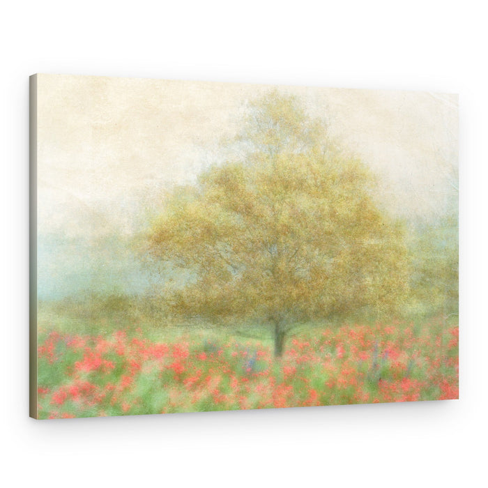 Dreamy Poppy Field Landscape – Canvas Print
