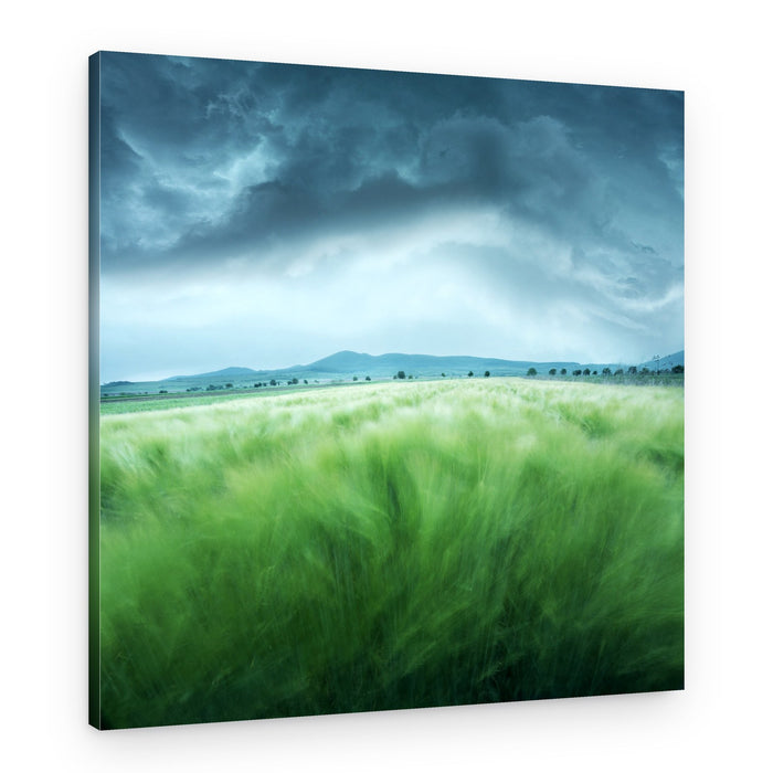 Wind Swept Green Field – Canvas Print