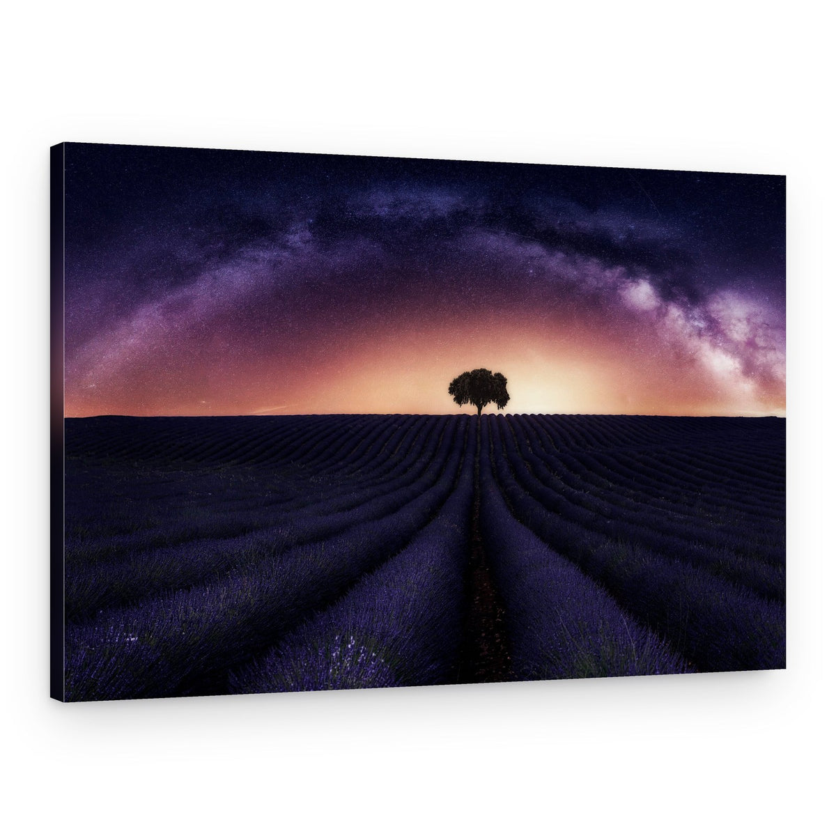 Milky Way Lavender Field – Canvas Print