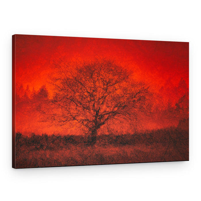 Dramatic Red Tree – Canvas Print
